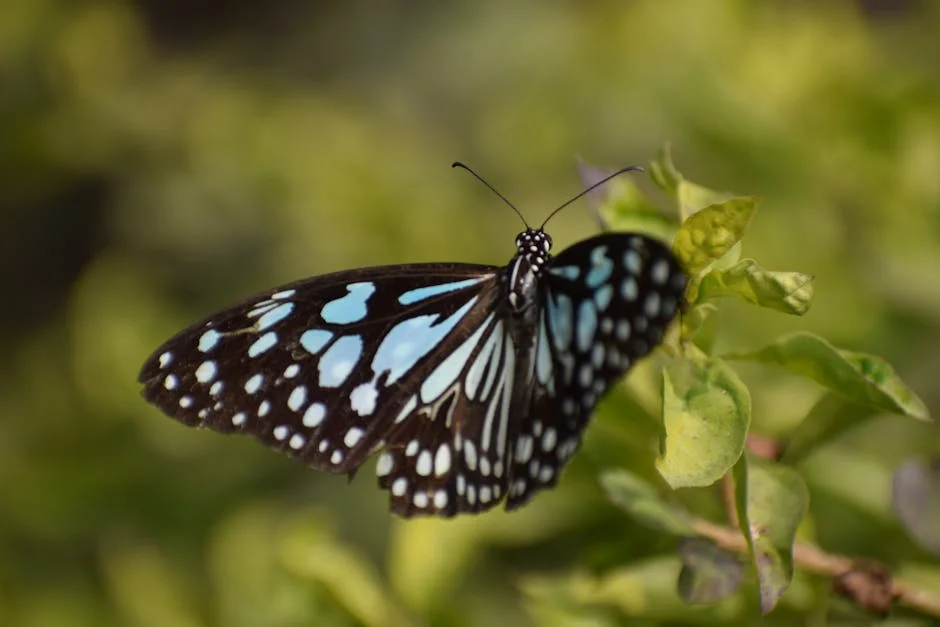 Tirumala Authorities Demand Legal Action Over Unauthorised Birthday Celebrations: What It Means — Economy Business