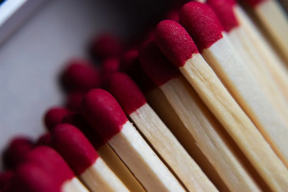 Trump Media Fires Nunes Amid Leadership Shake-Up — Economy Business