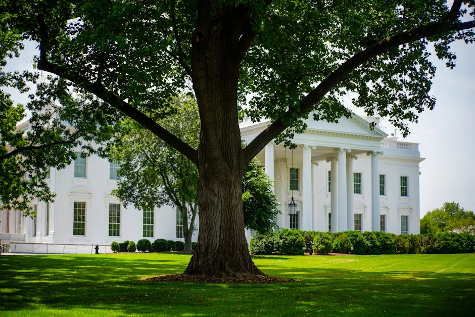 Trump's Optimistic State of the Union: Implications for Nigeria and Africa — Politics Governance