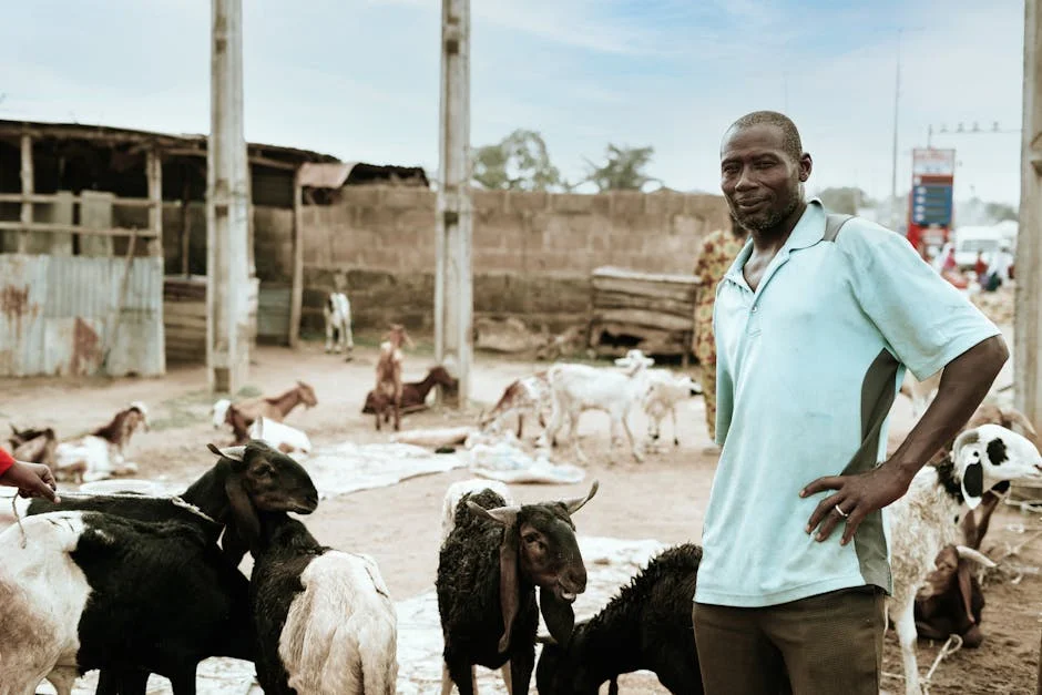 Trump's Team Torn Over Next Steps in Africa Policy