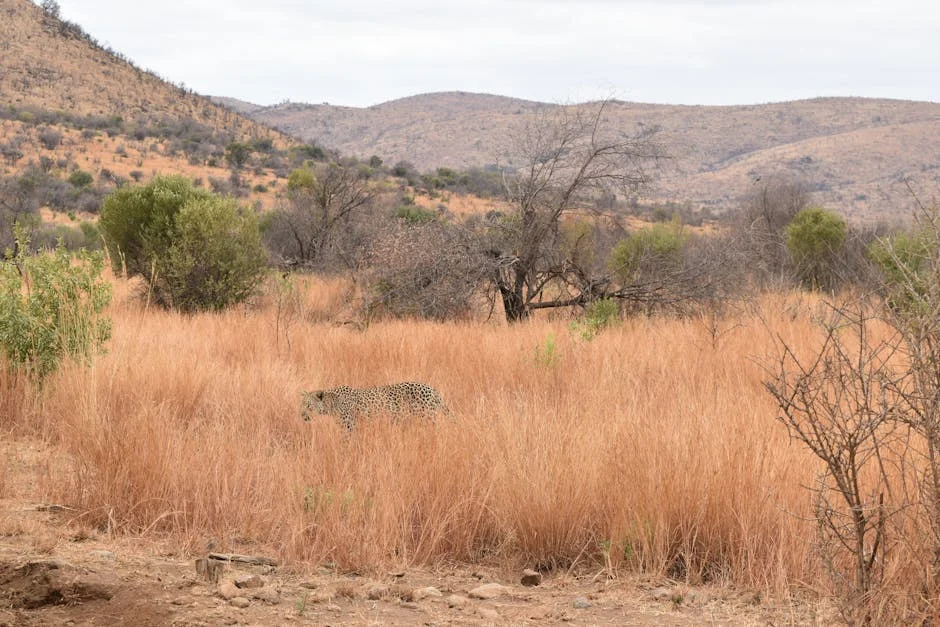 Turning Tide: John Steenhuisen Faces Challenge in South Africa's Politics — Politics Governance