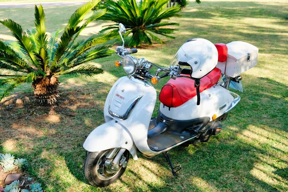 Two Branches Of Central Bank Of — economy-business