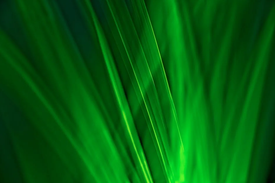 UAE to Support Stranded Tourists in Abu Dhabi Amid Travel Disruptions — Technology Innovation