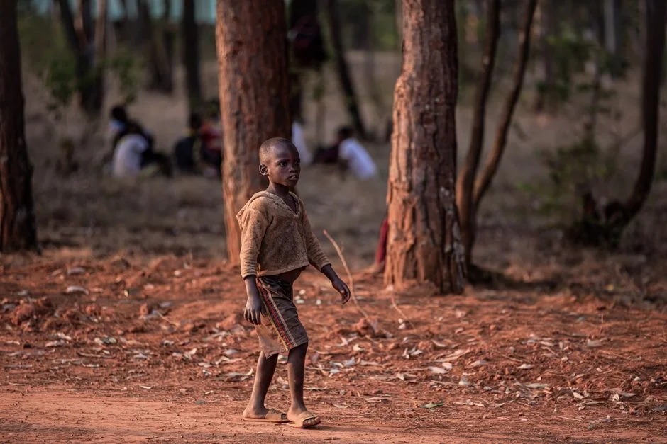 Uganda Confirms 142 Ebola Deaths — Six Nations Race to Close Borders — Health Medicine