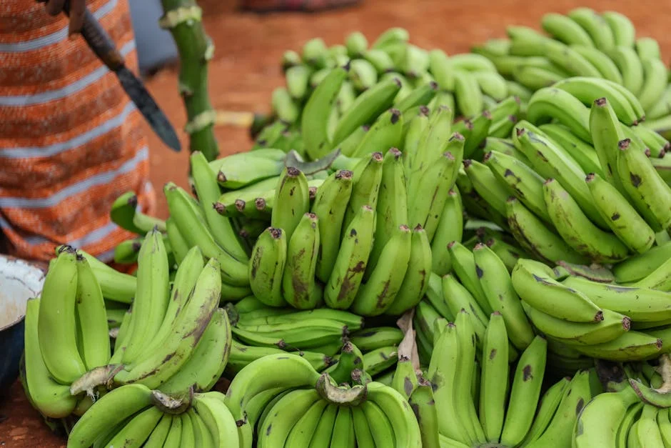 Uganda's Banana Republic Evolves Into Agribusiness Giant