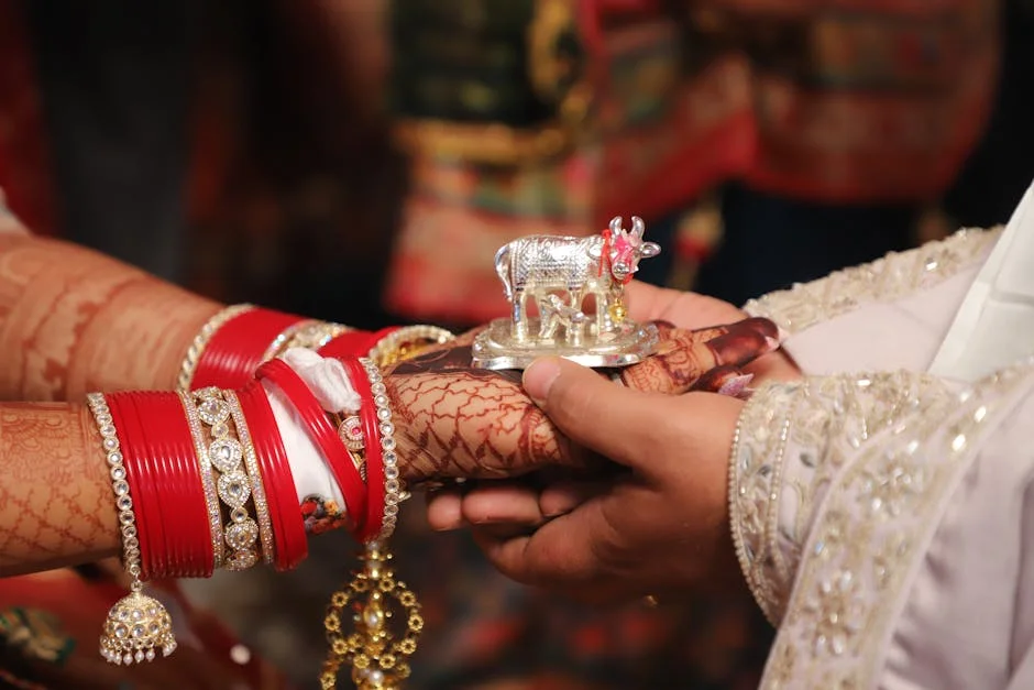 Ujjain Wedding Brawl Exposes Hidden Costs of African Social Stability — Economy Business
