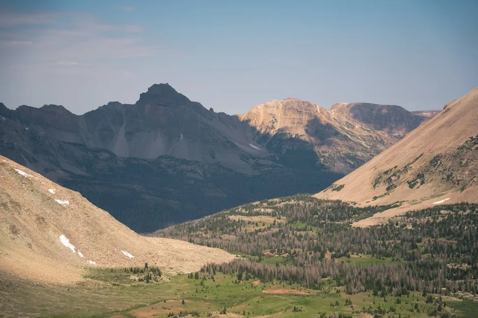 UN Passes Historic Reparations Resolution — 32 Nations Back Enslavement Acknowledgment — Politics Governance