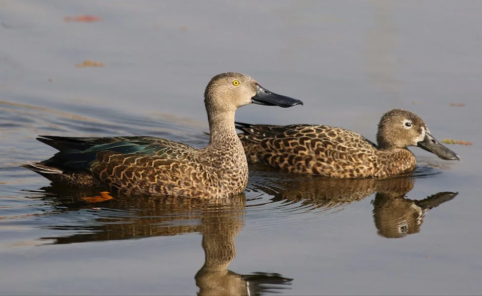 UN Warns Migratory Animals Face Extinction Risk — What This Means for Africa — Economy Business