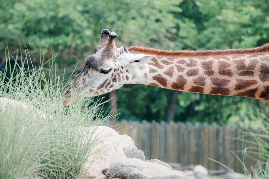 US Zoo Evacuations Expose Global Wildlife Safety Gaps — Technology Innovation
