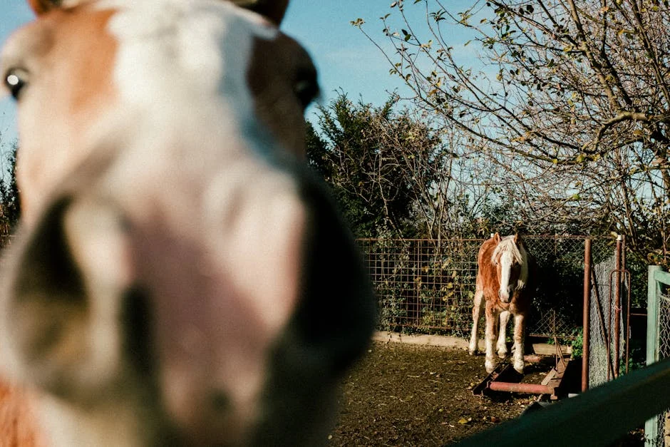 VE Appoints Julio León Heredia as New Head of Horse Racing and Casinos — Economy Business