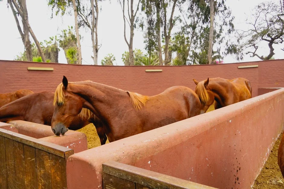 VE Cyberattacks Halt Horse Racing at La Rinconada Amid Security Crisis — Economy Business