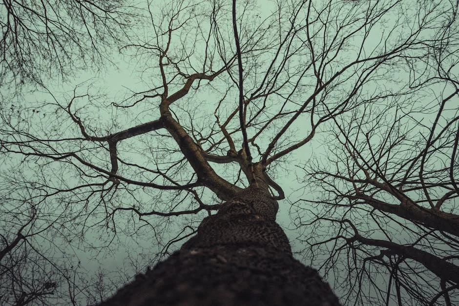 Villagers Expose Shocking Murder: Man Hammers Boy to Death and Drinks Blood — Economy Business