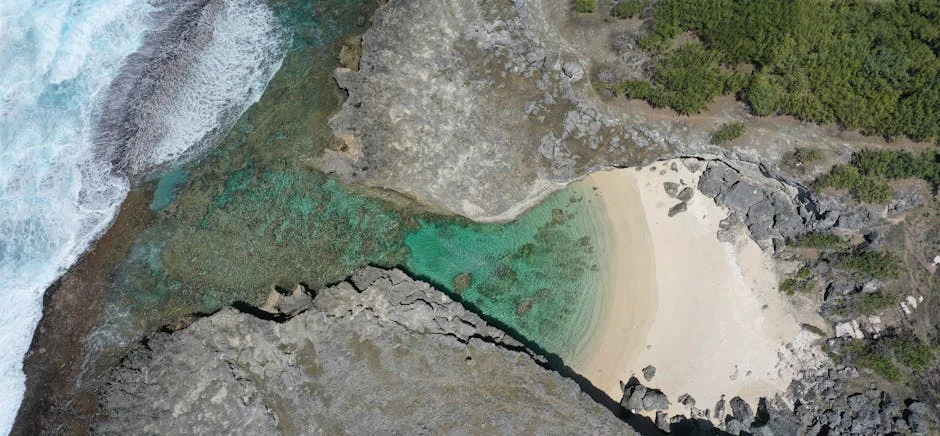 Vinci Energies Portugal's New Leader Targets Data Centres for Growth — Technology Innovation