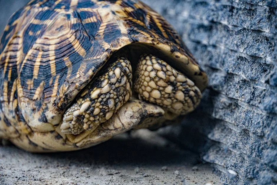 Visakhapatnam's Biodiversity Park Celebrates 25 Years: A Model for Sustainable Development