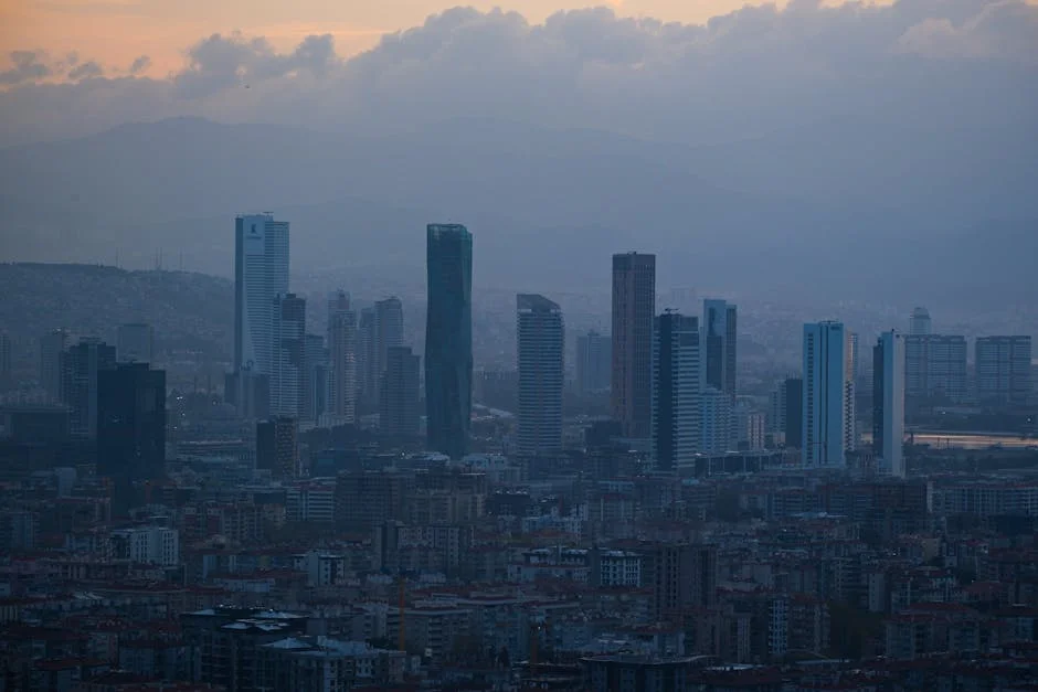 West Asia Conflict Triggers Surge in Indian Metal Shares — What It Means for Nigeria — Economy Business