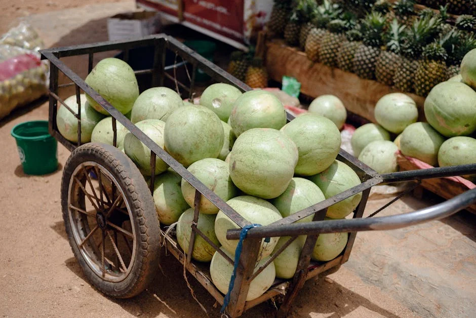 When News Today Sparks Debate on Nigerian Traditions — Economy Business