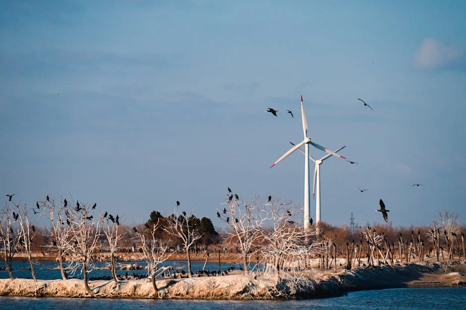 Wild Brawl Breaks Out During Women's Football Match - Salvaje Reveals Challenges in Nigerian Sports