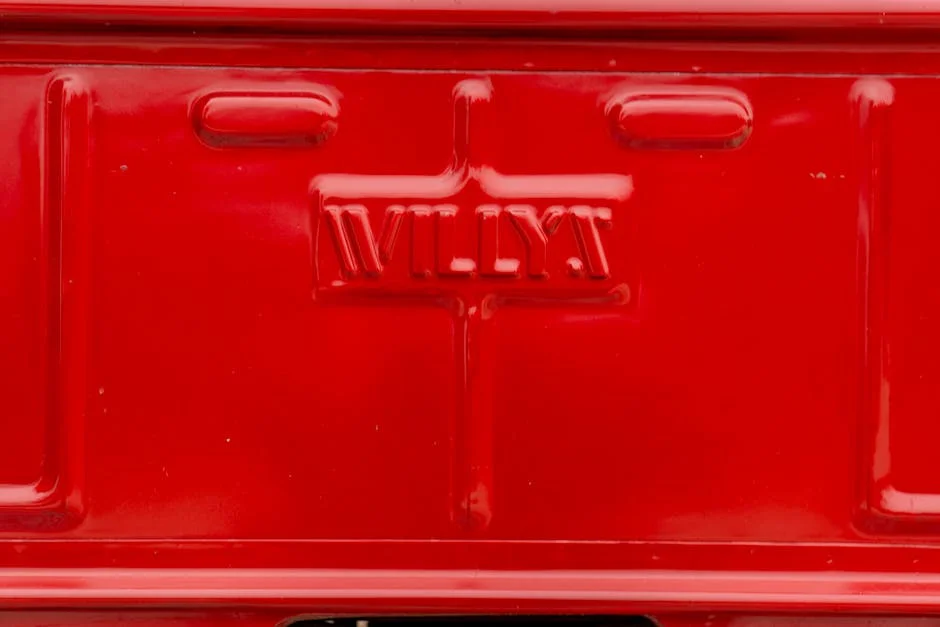 Willy Ngoma's Death: A Critical Moment for the Congo's Future — Economy Business