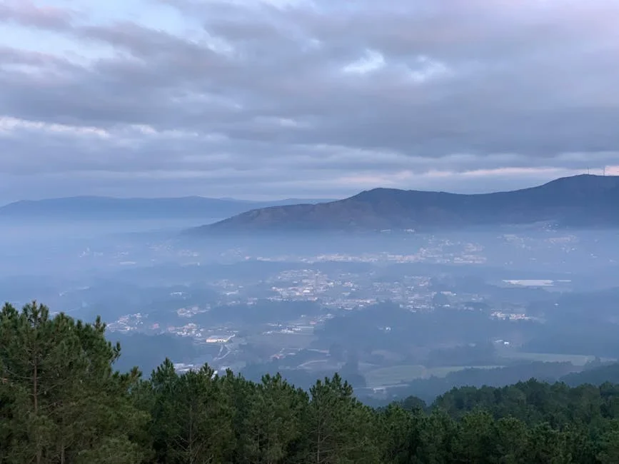 The Heartbeat of Minho's News Landscape