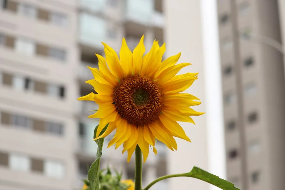 Zambujo’s New Album 'Oração ao Tempo' Sparks Cross-Continental Music Dialogue — Economy Business